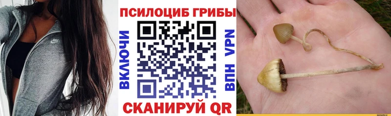 Псилоцибиновые грибы прущие грибы Балабаново